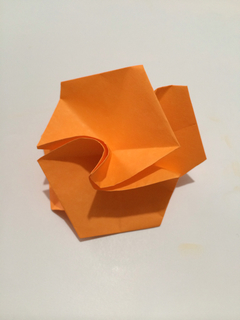 50EF18D7-2867-48C1-BB8F-4796DC4D713D.jpg