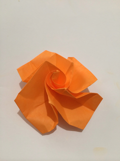784C724A-EA20-4BC2-A3FF-F158BC166D55.jpg